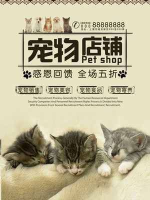 德扑圈俱乐部推荐