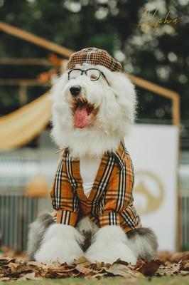 德扑圈俱乐部推荐