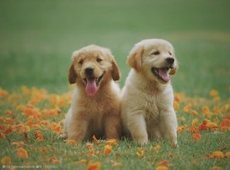 hhpoker俱乐部客服推荐